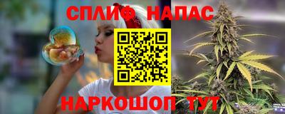 бошки Будённовск