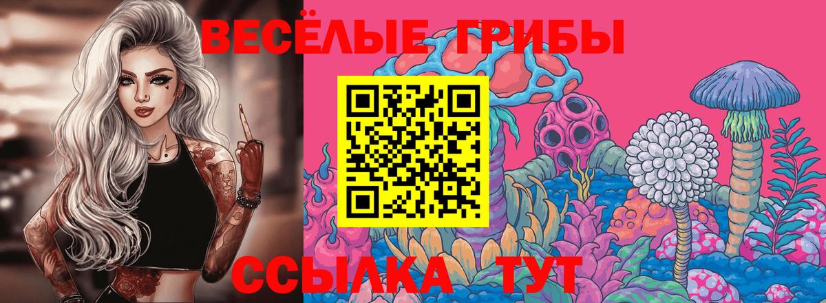 Галлюциногенные грибы GOLDEN TEACHER Нижнеудинск