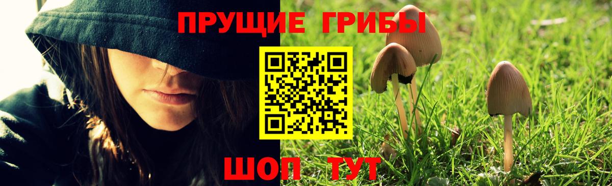 Нижнеудинск  сколько стоит  Вход с VPN  Галлюциногенные грибы Psilocybe  Галлюциногенные грибы MAGIC MUSHROOMS 