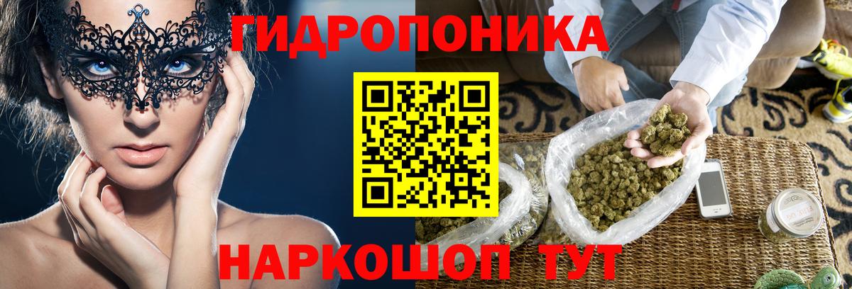 Конопля OG Kush  Вход с VPN  Бошки марихуана индика  Нижнеудинск 