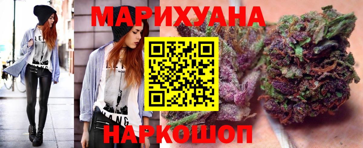 Шишки марихуана конопля Нижнеудинск